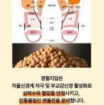 게르마늄 황토볼 편백나무 발마사지 경혈 발바닥 지압 매트 어싱 케어랩스 : 케어랩스