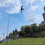 강한   꼬리! 와 성인을 거대한 초보자 피닉스 연 74 인치 문자열과 : 천마산통합상사