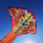 성인을  고급 대형 연 야외 스포츠 피트니스를 비행하기 쉬운 마이크로 바람 유행 Weifang 스타일  꼬리 드래곤 : 천마산통합상사