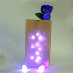 가방 O 라이트 (빨강 및 파랑) 마술 트릭 장난감 D 손가락과 장미 꽃  무대 조명 연인 커플 소품 : 천마산통합상사