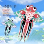 Witess 성인  연 금붕어 2024 대형  비행하기 쉬운 마이크로 바람 산동 스포츠 피트니스 : 천마산통합상사