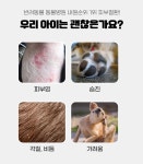 메이웰 팜스펫 샴푸 400ml 강아지 피부병 예방 케어 : 도레미펫