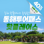 [강원] 동해투어패스 강원도여행 국내여행지 아이와가볼만한곳 동해보양온천 무릉계곡 : 강원투어패스