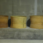 육계 3 종 패키지 [각 15g x 3종 ] : 소백 티하우스