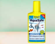 테트라 아쿠아세이프 500ml 2027년 유통기한 : 시스펫