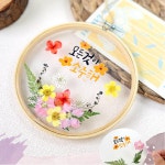 어르신 프로그램 압화액자 만들기 노인 인지활동 시니어 미술 요양원 초등공예 : 소꼼마켓