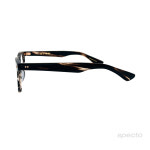 금자안경 KC59N CHS KANEKO OPTICAL : 스펙토 안경원