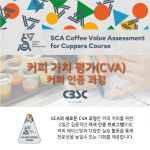 [CBSC] SCA CVA for Cuppers Course : 커피 브루잉