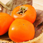씨없는 청도반시 홍시 연시 감 고당도 : 경희로운 마켓