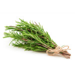로즈마리 생잎 100g 식용허브 케이크데코 허브 잎 : 감성먹거리