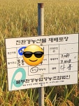 유기농 미니파프리카 1kg : 따순농장