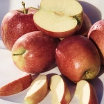 문경사과 감홍 10kg 정품 감홍사과 경북 문경 사과 산지직송 : 봉서자연농장