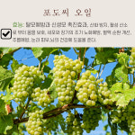 극손상 헤어오일 5가지천연오일배합 끈적임이 없는 바르는 헤어클리닉 이지후비너스001투플러스 : 주식회사이지후그린과학