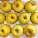 경북 홍로 부사 시나노골드 못난이 사과 6kg 낙과 흠과 흠집 5kg 10kg 쥬스용 주스용 5키로 10키로 : 대감댁