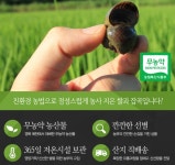 우렁이가 키운 2025년 찹쌀 국내산 경북예천 : 소담바리