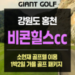 홍천 비콘힐스cc 단체팀으로 좋은 1박2일 소현재 골프텔 패키지 : GIANTGOLF