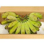 필리핀 그린사바(초록바나나) 쫀득한 식감 구우면 더 맛있는 건강한 한끼 : 삼대장