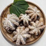 주꾸미 철 쭈꾸미 1kg 생물 냉동 알 : 예담살림곳간