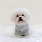 SSFW 뉴 화이트라벨 폴라 탑(S-2XL) 고급스런 직조방식의 팔꿈치 패치 포인트 : 펫츠럽