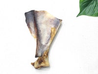 우쭈쭈 양부채뼈 1P 강아지수제간식 중형견 대형견간식 치석제거 : 우쭈쭈수제간식