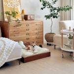 코코제니 리미티드 강아지원목침대 원목 애견침대 펫 쇼파 : 코코제니