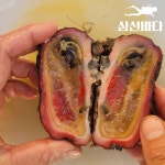 특돌멍게 돌멍게 1 kg 자연산돌멍게 거제도 해녀물질 활멍게 : 거제 삼선바다