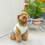 럭키참 누빔조끼 산책매트 S~XL 강아지옷 : 그로서리메리그린