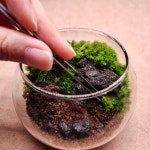 비단 이끼 테라리움 키트 만들기 DIY 원형 유리볼 : 가드너 서휘