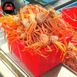라면용 홍게 육수용 도매 라면 속초 홍게라면 식당용 대게 음식점 : 오앤와이스토어
