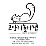 고양이 일상 케어, 놀이 레슨, 환묘 케어 상담 : 고양이놀이쌤