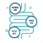[도착보장] 상아제약 쏙빠지는 프로바이오틱스 프롤린 유산균 2g 30포, 8개 : 마이엘랩