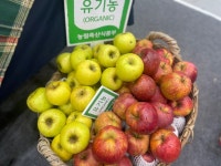 태백 유기농 사과 3kg 5kg 골든A힐농원 : 골든힐농원