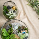 사철 LED 테라리움 DIY 원예 키트 만들기 반려식물 플랜테리어 공기정화 비바리움 이끼 키우기 : 하이모스