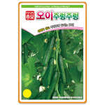 미니 오이씨앗 주렁주렁 종자 오이씨 10립 100립대포장 : 팜앤리빙