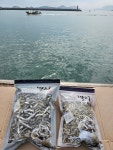 남해 다시 멸치 대멸 400g 800g 육수용 국물용 산지직송 : 남해 오시다