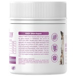 벳액티브8 NMN 포르테 항노화+항산화 60캡슐, 27g, 1개 : 개고몰.