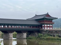 경주 핫플투어 시티 버스투어  : 돌고래여행사-돌핀스토어