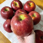 감홍 사과 늘품 찐한 단맛 껍질째먹는 못난이 선물용 경북사과 : 늘품농업회사법인주식회사