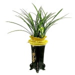 천향 동양의 자랑 동양란 동양난 승진 취임 개업 축하 선물 전국 꽃배달 24시간 통화 : 16441644꽃배달