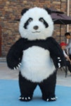(대여 가능)팬더 마스코트 풍선 의류, 동물 마스코트 의상, 생일 파티 공연 소품 2M : 홍옌중국어교습소