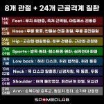 11월 19일 (화) RCT 3.0 허리파트 - 재수강자 : 주식회사 스포메드랩