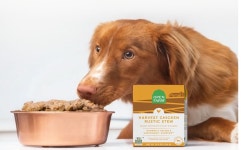 오픈팜 독 스튜 닭고기 애견 습식사료 반려동물354g : 집사펫샵