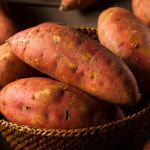 해남 숙성 꿀 고구마 호박 꿀밤 호풍미 황토 속노란 고구마 튀김용 호밤 : 숨은농장