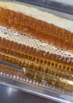 대한양봉100%국내산 벌집꿀1kg 대용량 도매 (업소용) 벌꿀집 : 대한양봉 허니큐브