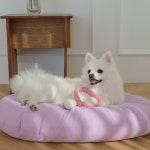 6가지 포근한 무지 컬러 강아지 쿠션 커버분리형 방석 세트 : 왈왈 walwal