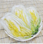 해남 GAP 절임배추 절인배추 20kg 김장 나가네 : 나가네해남농장