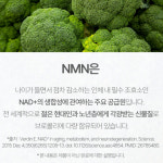 식물성 NMN 엔엠엔 NAD 브로콜리 베타인 60정 2개월분 : MELIUS 멜리우스