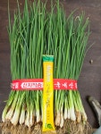 [당일손질] 쪽파 흙쪽파 1.2kg 소이네농장 : 청주소이네집