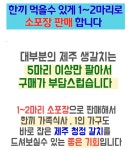 당일입찰 제주 생물 갈치 은갈치 손질 2마리 3마리 소포장 : 제주 태린농장