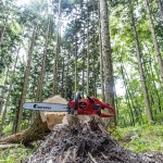 제노아 엔진톱 G4101 체인톱 40.1cc 가정용 : 키리네 스토어